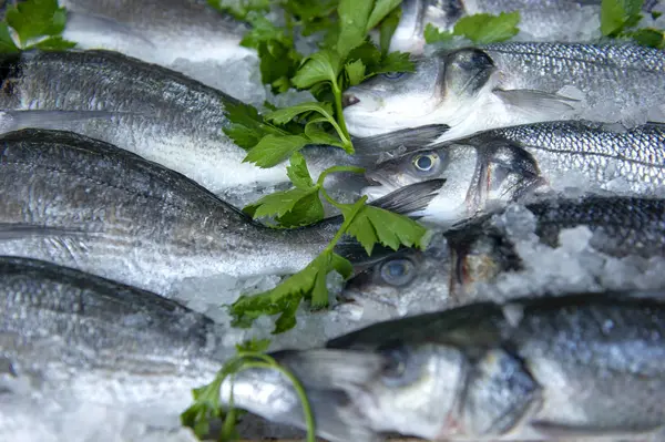 Fresh fish in the market, Sea fish pile top view — стоковое фото