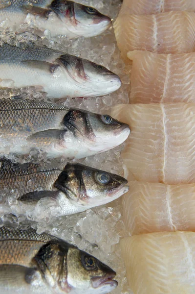 Fresh fish in the market, Sea fish pile top view — стоковое фото