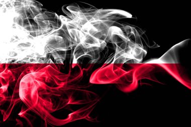 Polonya, Polonya ilk tur grup A basketbol dünya şampiyonası