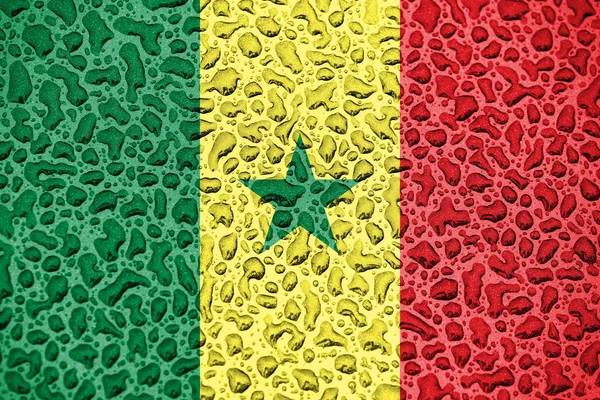 Bandeira nacional do Senegal feita de gotas de água. Conceito da estação de previsão de fundo . — Fotografia de Stock