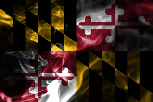 Maryland State Smoke Flag États Unis Amérique — Photo