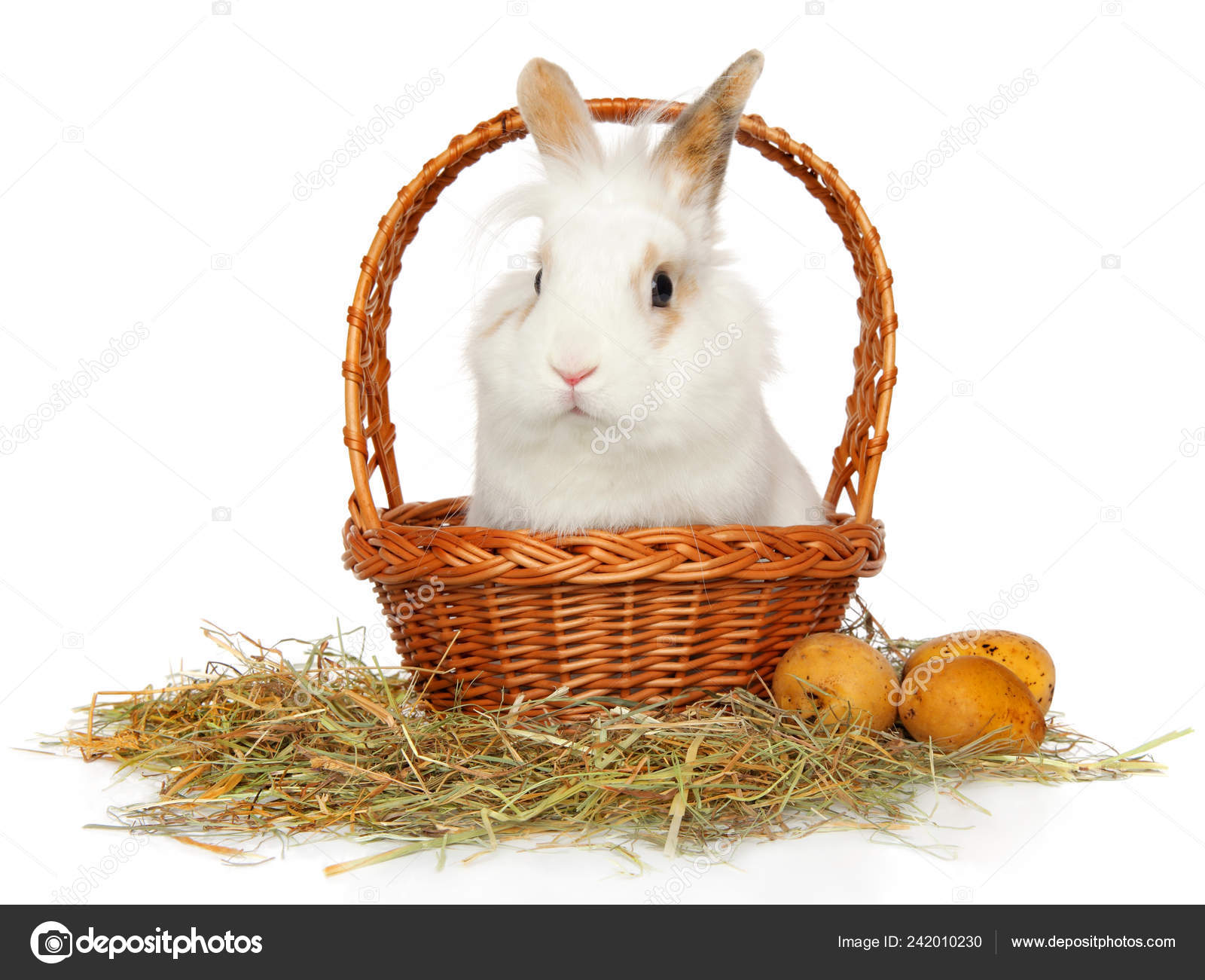 easter bunny basket