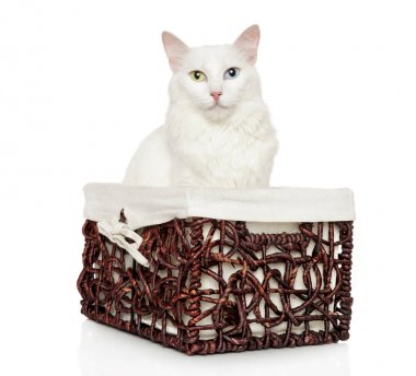 Turkish Angora cat in wicker basket clipart