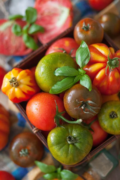 Fresh Basil Tomatoes Table — Stock Photo, Image