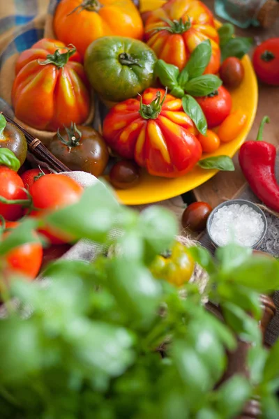 Manjericão Fresco Tomates Mesa — Fotografia de Stock