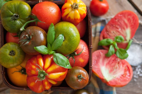 Manjericão Fresco Tomates Mesa — Fotografia de Stock