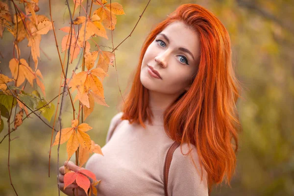 Kızıl Saçlıya Kız Sonbahar Park — Stok fotoğraf