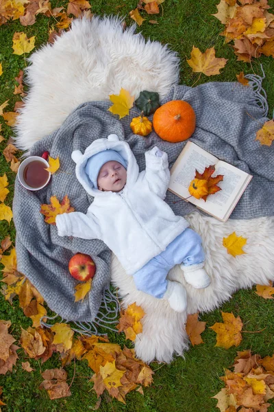 Cute Little Boy Relaxing Autumn Park — Stock Photo, Image