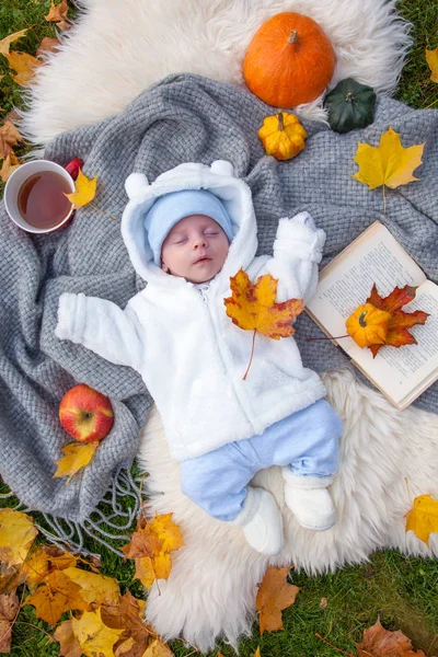 Cute Little Boy Relaxing Autumn Park — Stock Photo, Image