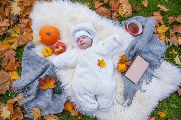 Милий Маленький Хлопчик Розслабляється Осінньому Парку — стокове фото