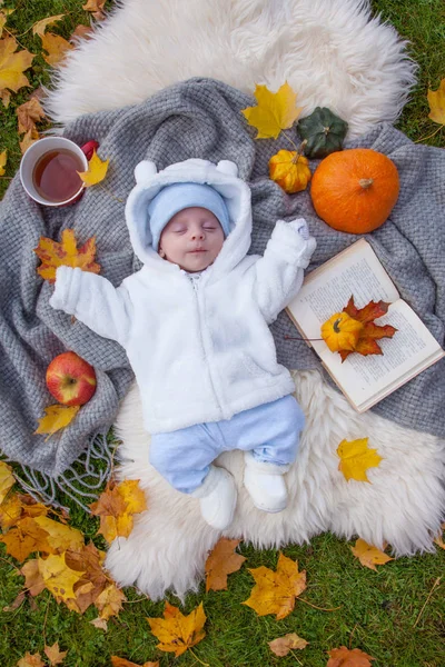 Милый Маленький Мальчик Расслабляется Осеннем Парке — стоковое фото