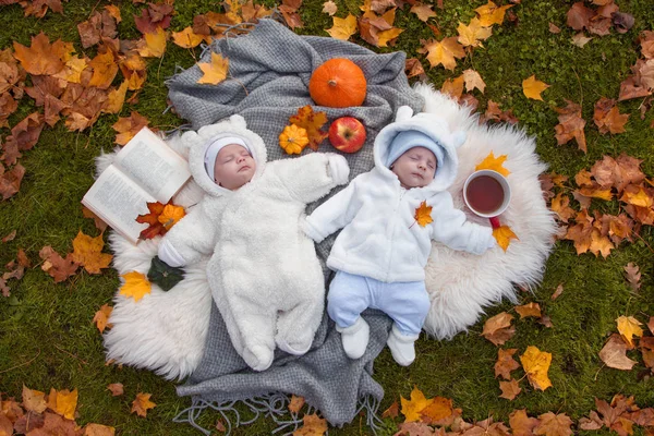 Graziosi Gemelli Relax Nel Parco Autunnale — Foto Stock