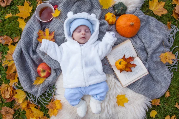 Roztomilý Malý Chlapec Relaxační Podzimní Park — Stock fotografie
