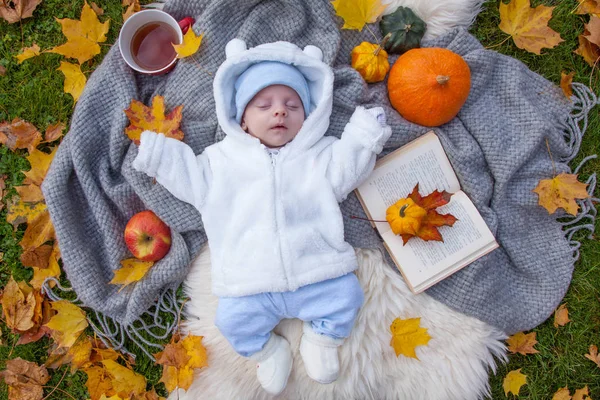 Cute Little Boy Relaxing Autumn Park — Stock Photo, Image