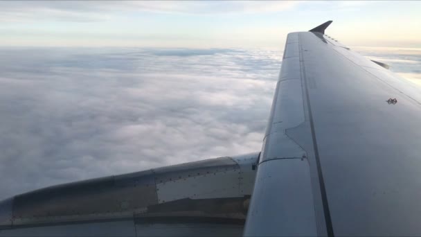 Вид Окна Самолета Летящего Над Облаками — стоковое видео