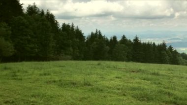 Hırvatistan'daki Medvednica Doğa Park yeşil alan ve çam ormanlar