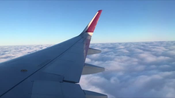 Θέα Από Παράθυρο Του Αεροπλάνου Που Πετούν Πάνω Από Σύννεφα — Αρχείο Βίντεο