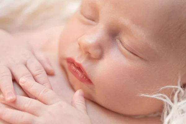 Newborn Baby Girl Sleeping Fluff — Stock Photo, Image