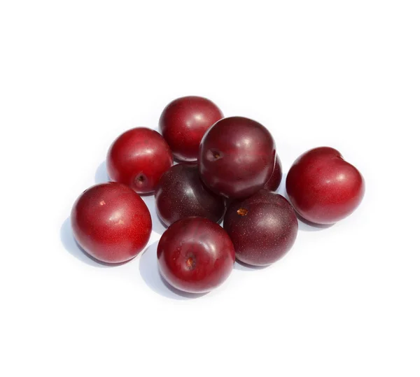 Tatlı meyveler - beyaz izole koyu kırmızı erik — Stok fotoğraf