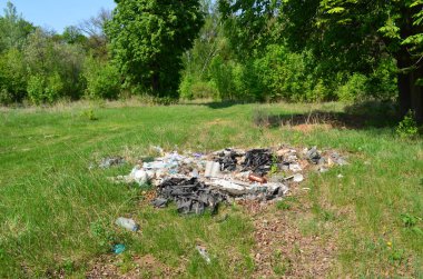 çöplüğü ormanda