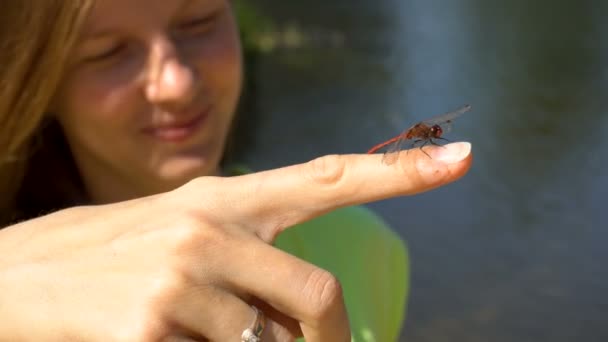 Dragonfly сидить на пальці жінки і вона посміхається — стокове відео