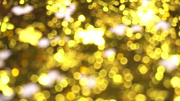 Gouden onscherpe achtergrond van glitters — Stockvideo