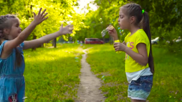 Две сестры маленькие девочки раздувают мыльные пузыри в парке — стоковое видео