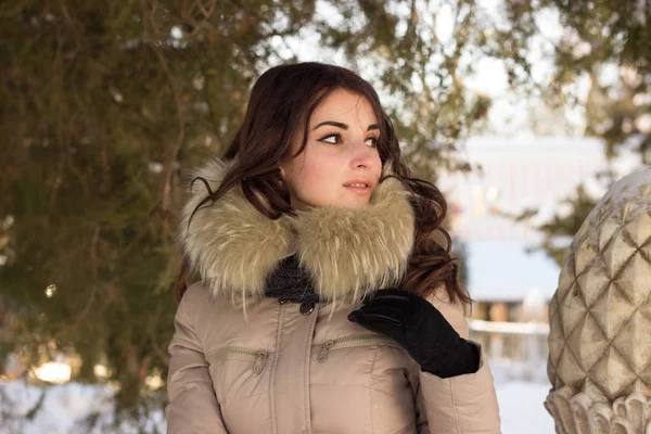 Incredibile donna carina in inverno divertirsi — Foto Stock