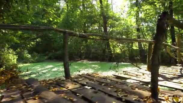 Vista com ponte velha sobre pântano na floresta — Vídeo de Stock