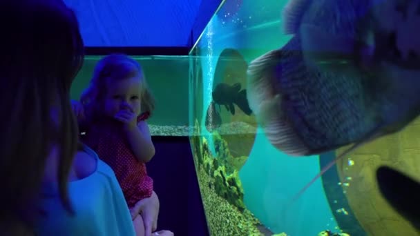 Mujer con hija pequeña explorando acuario exótico — Vídeo de stock