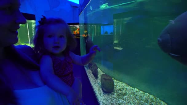 Frau und kleine Tochter erkunden exotisches Aquarium — Stockvideo