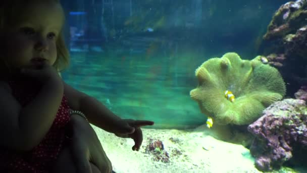 Девочка смотрит на рыбу в аквариуме — стоковое видео