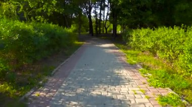 Parkta yolda yürüme