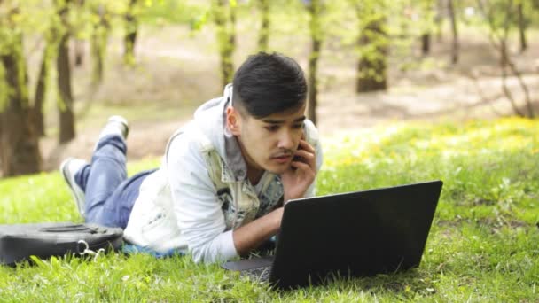 Человек, лежащий на лугу с ноутбуком, разговаривающий по телефону — стоковое видео