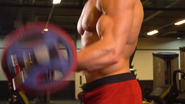 Gespierde bodybuilder opheffend halter op de biceps — Stockvideo