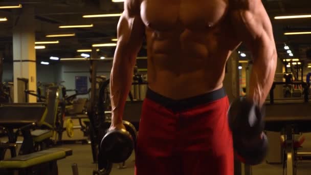 Muscular bodybuilder athlete lifting barbell on biceps — Stock Video