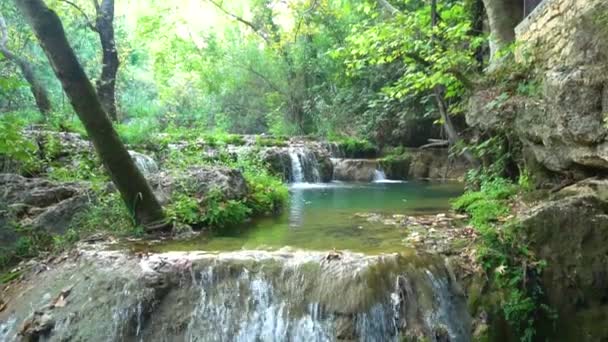 Pequeña cascada en el bosque — Vídeos de Stock