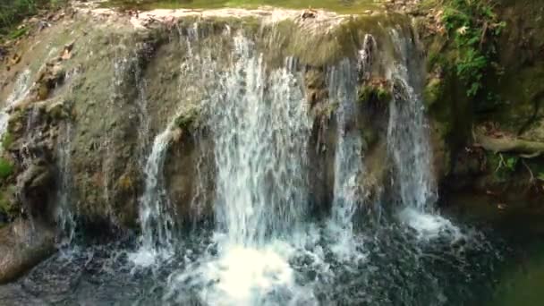Litet vattenfall i djungeln — Stockvideo