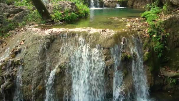 Прекрасный Вид Пресную Воду Падающую Небольшой Скалы Лесу Красоты Замедленной — стоковое видео