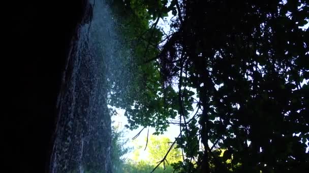 Cachoeira na floresta — Vídeo de Stock