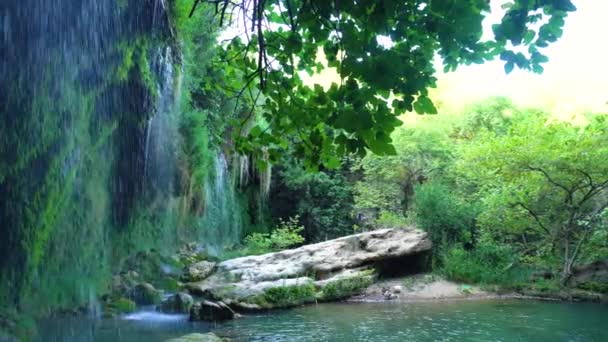 Ruhiger Wasserfall und Teich im Wald — Stockvideo