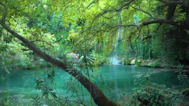 Rofylld utsikt över vattenfall och green pond — Stockvideo