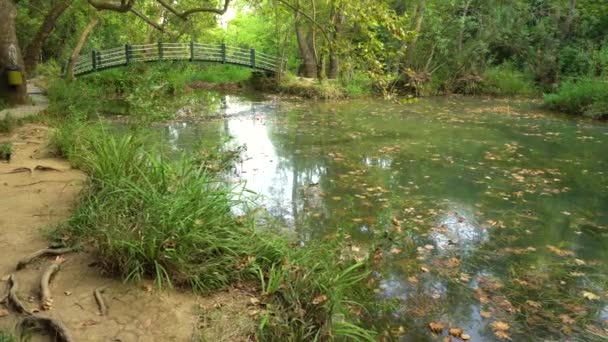 Étang calme avec pont 
