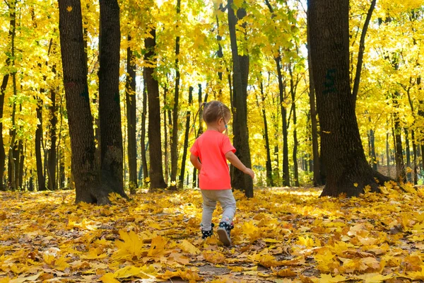 Pequena menina bonito andando no parque de outono — Fotografia de Stock