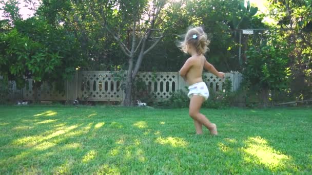 Маленька дівчинка крутиться і падає на газон — стокове відео