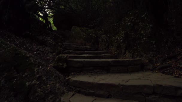 Вид на каменную лестницу и движущуюся камеру на деревьях — стоковое видео