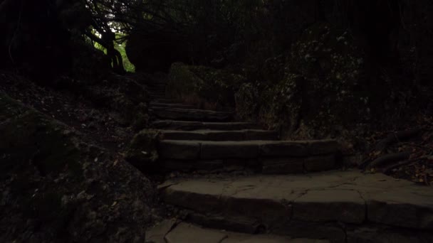 Guardando su scala in pietra e macchina fotografica in movimento sugli alberi — Video Stock