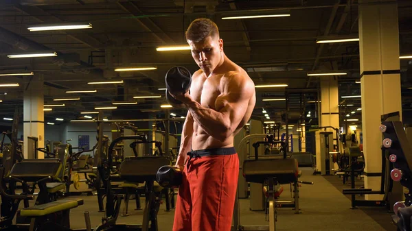 Homem fisiculturista fazendo exercício em bíceps no ginásio — Fotografia de Stock
