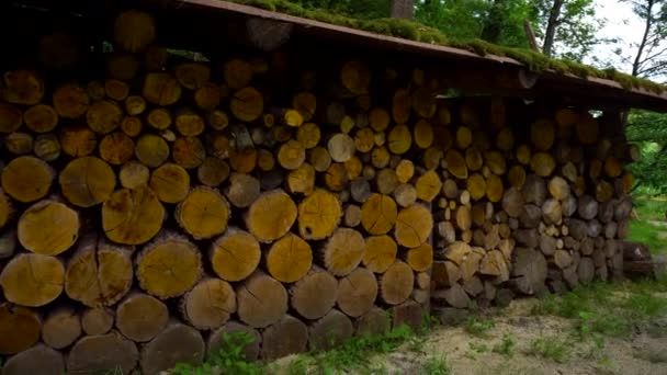Деревянная куча в деревне — стоковое видео
