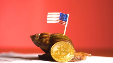 Salyangoz arka ve kripto Btc bitcoin para Amerikan bayrağı ile